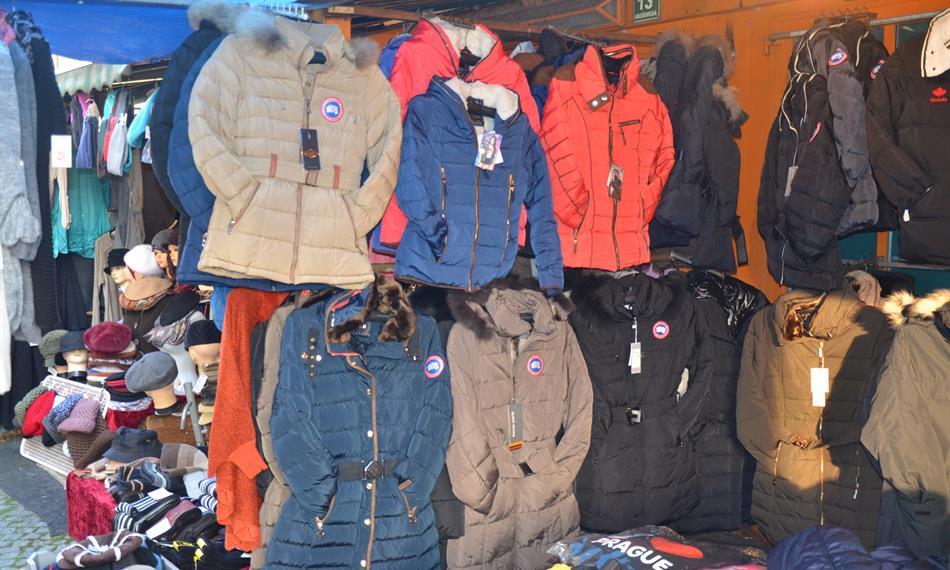 2014-11-20-137Canadian Goose 3.JPG